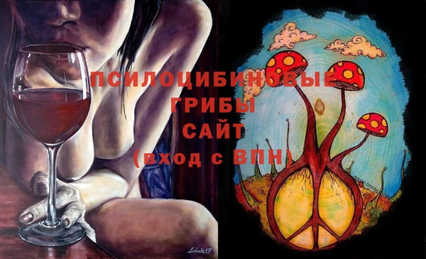 прущие грибы Арсеньев