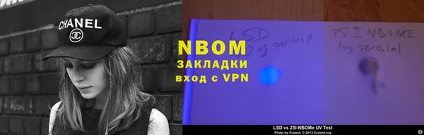 прущие грибы Арсеньев