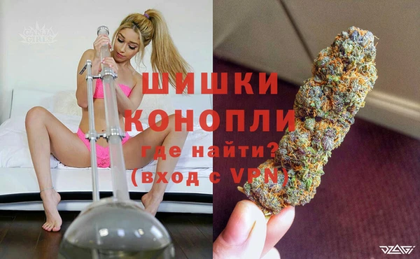 прущие грибы Арсеньев