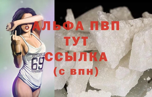 прущие грибы Арсеньев