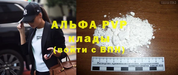 прущие грибы Арсеньев