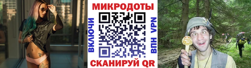 Псилоцибиновые грибы GOLDEN TEACHER наркошоп Сосногорск